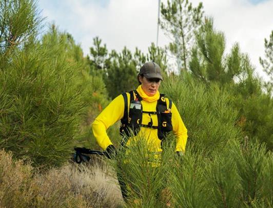 Queda trava Sandra Cabral no IX Trail de Conímbriga