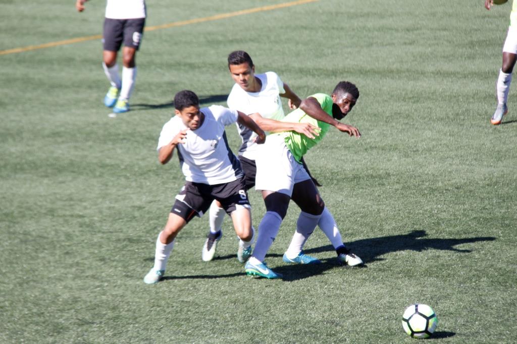 Campeonato das oportunidades começa no domingo