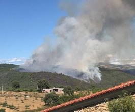 Bragança é o 3.º distrito com mais área ardida