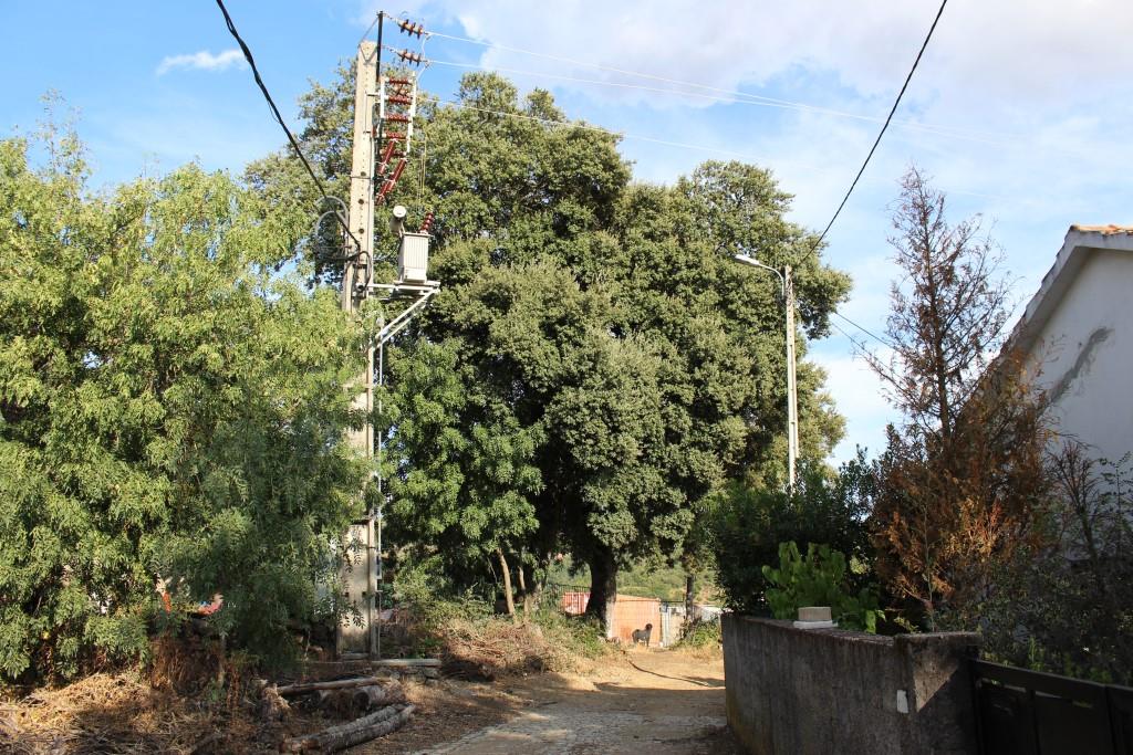 Descarga eléctrica durante trovoada fere homem em Vilarinho, Bragança