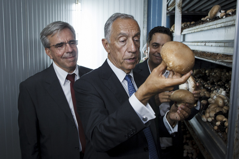 Destino da Sousacamp será conhecido em breve