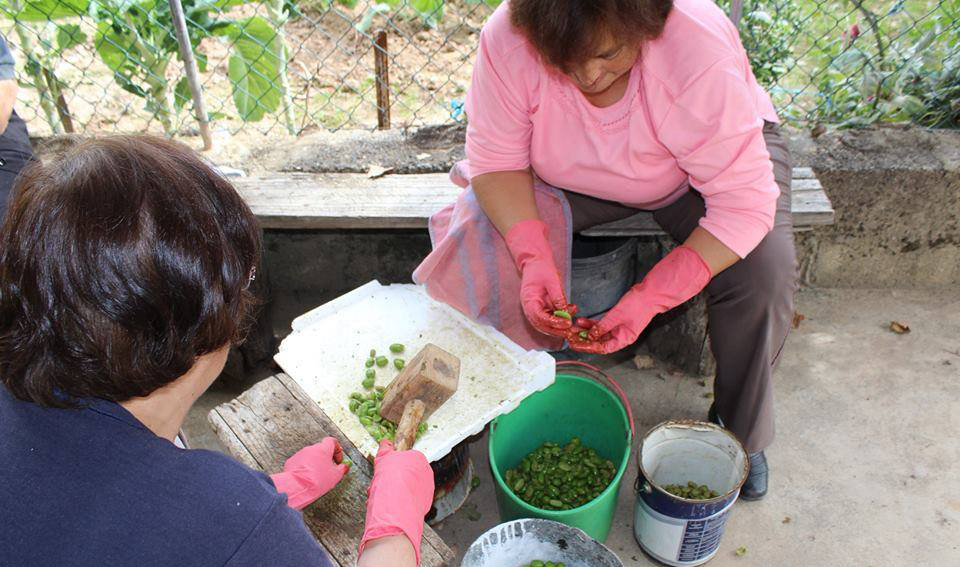 Azeitonas sem caroço (alcaparras)