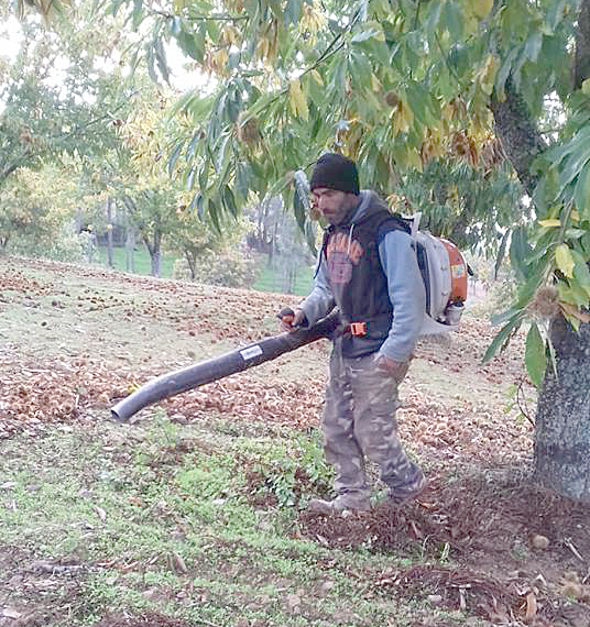 Os soutos são o ginásio do povo