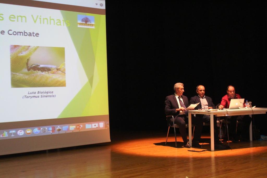 Vespa das galhas do castanheiro poderá estar controlada no prazo de cinco anos