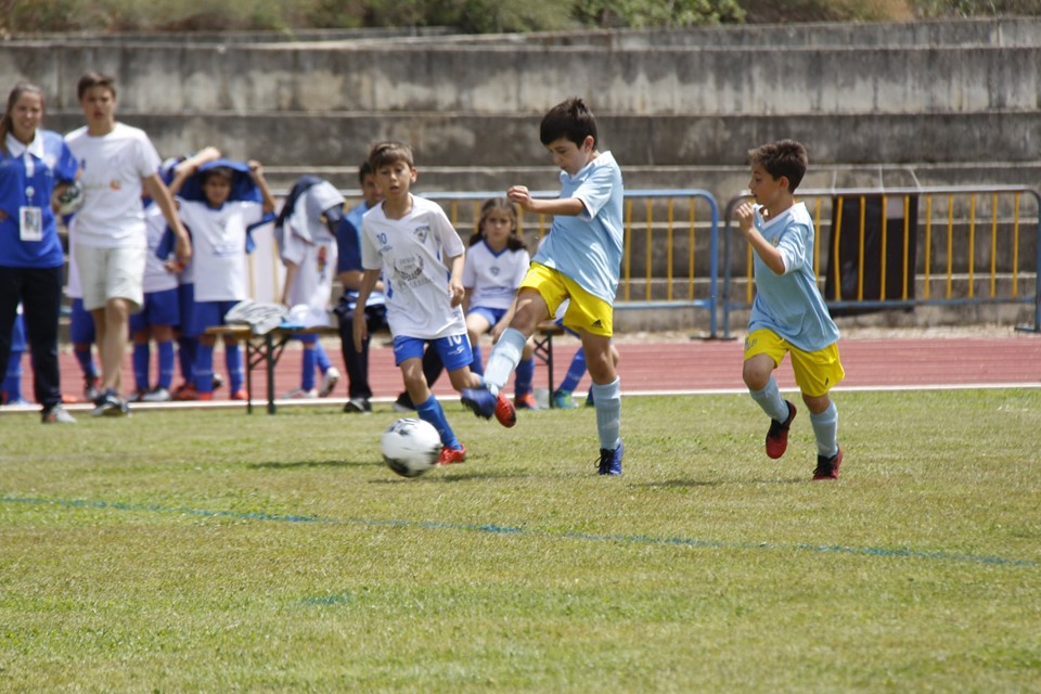 Torneio Crescer Jogando recebeu mais de mil jovens futebolistas