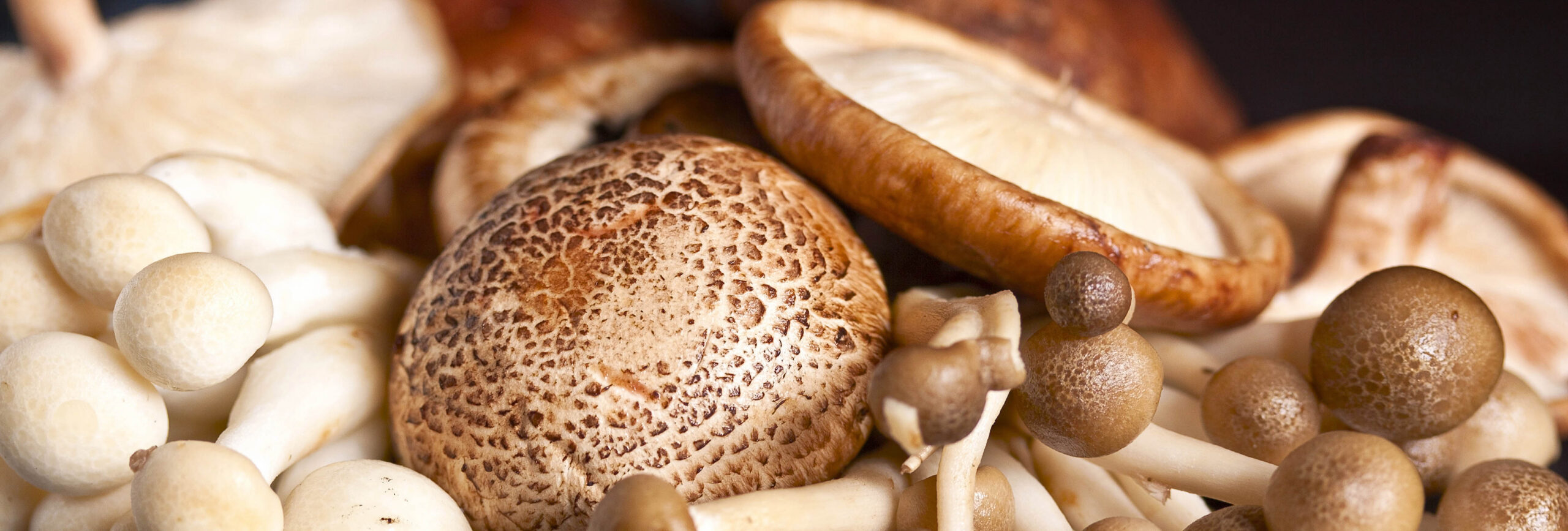 Grupo Sousacamp não vai encerrar nem despedir trabalhadores