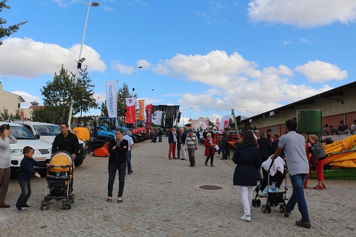 Gorazes dinamizam economia local ao longo de seis dias