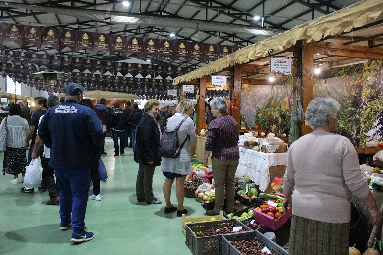 Rural Castanea é a montra de um sector que movimenta 25 milhões de euros em Vinhais