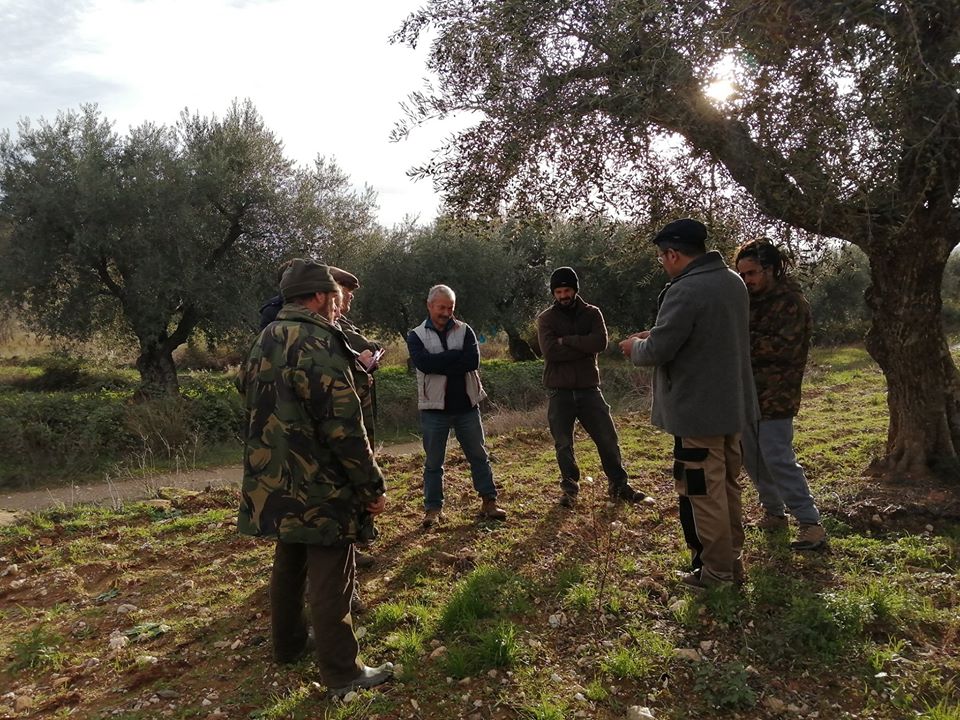 Eucaliptos vão dar lugar a zimbros, azinheiras e sobreiros em Vimioso