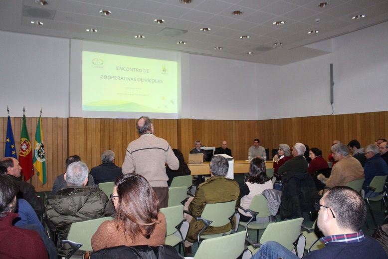 Cooperativas Olivícolas discutiram soluções para o sector em Macedo