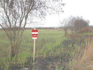 Autarquia mirandelense está a desenvolver estratégia cinegética e piscícola