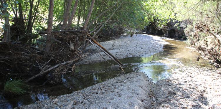 Rio da Aveleda fica de fora dos cursos de água a reabilitar pelo Ministério do Ambiente