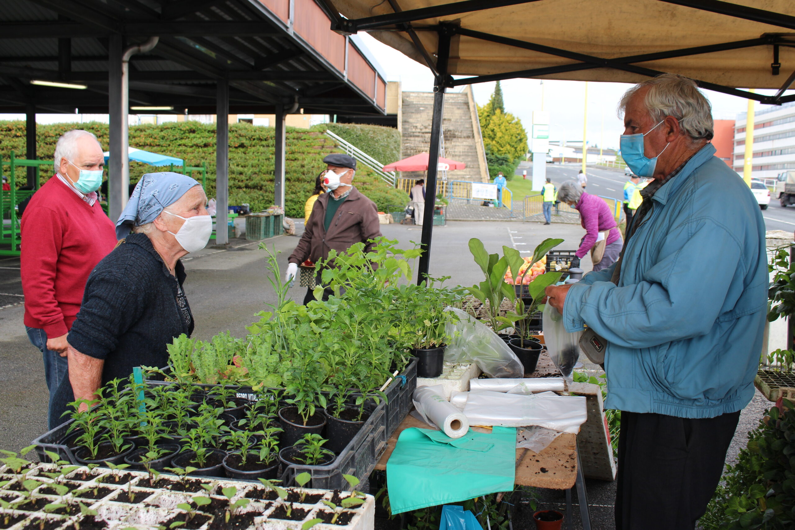 Feiras reabrem na totalidade a partir de quinta-feira