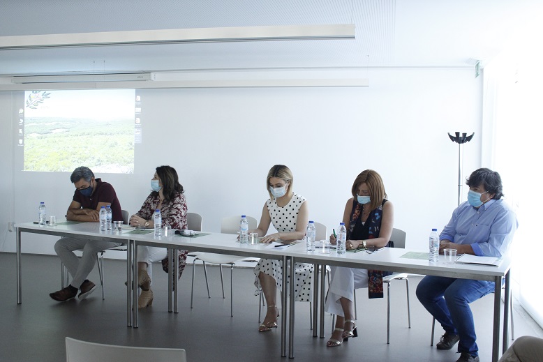 Gestão florestal nas áreas protegidas continua a ser um problema