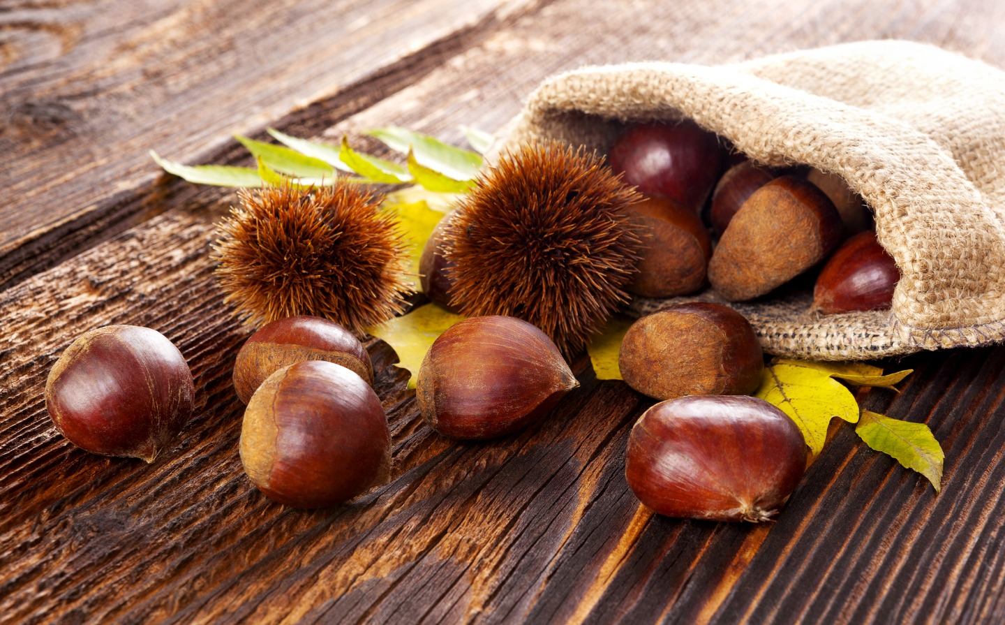 Rural Castanea e Feira Internacional do Norte canceladas por causa da pandemia