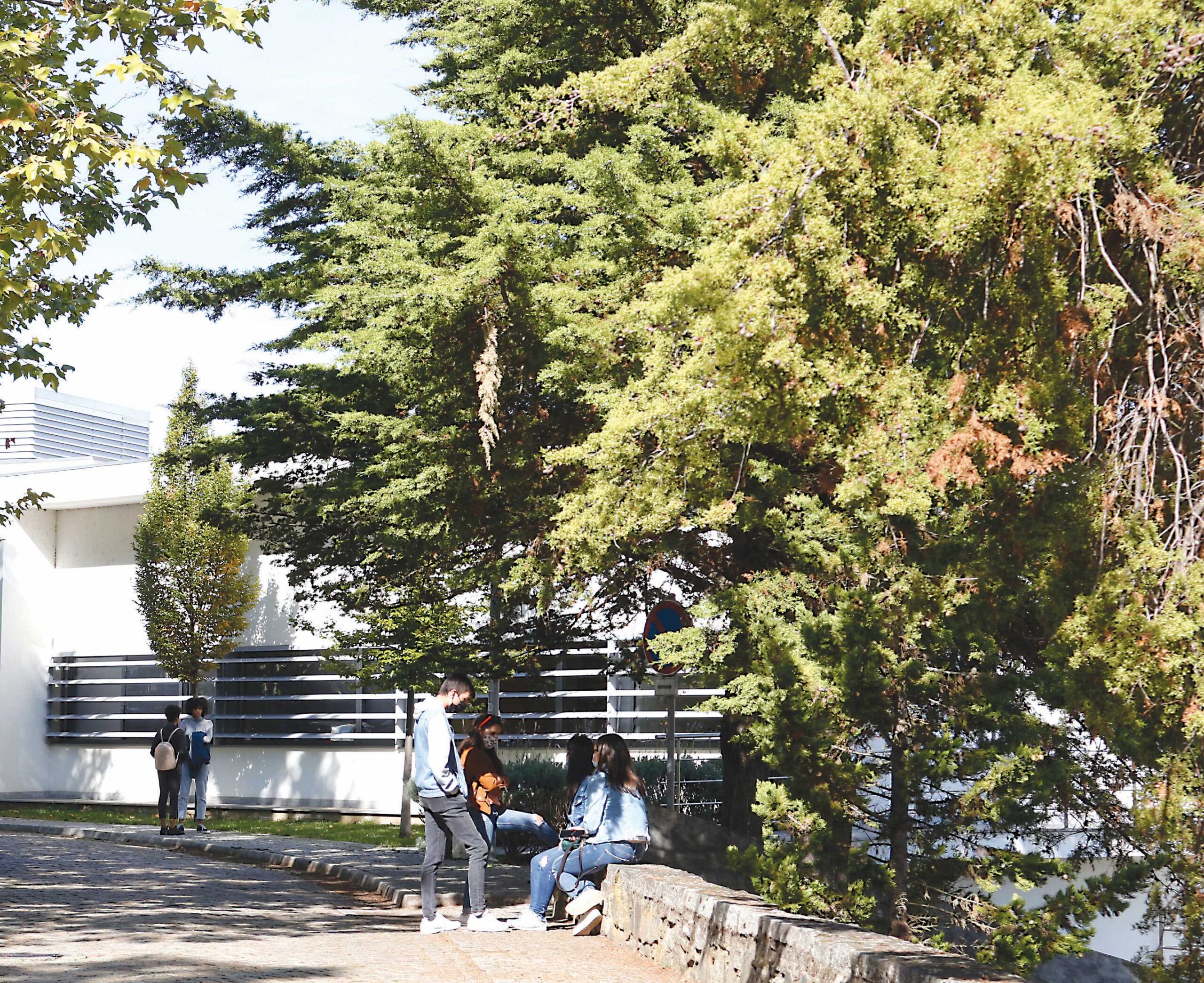 Candidaturas ao IPB crescem também na segunda fase