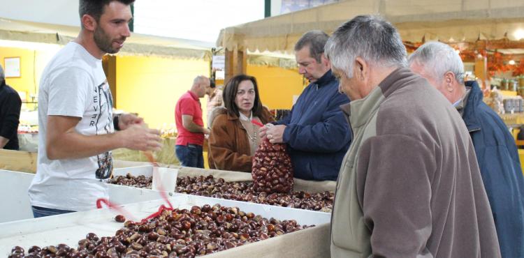 Rural Castanea reduzida a fim-de-semana gastronómico