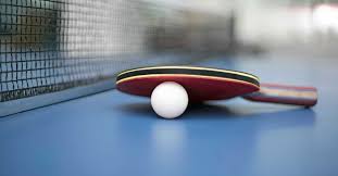 Centro de Treino Internacional vai instalar-se na cidade de Mirandela