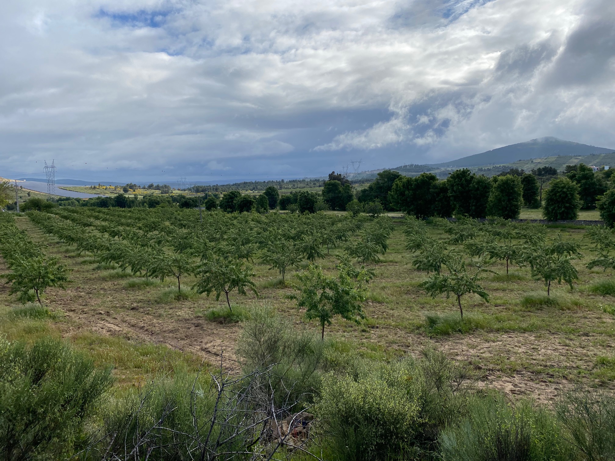 Agricultura ganha vitalidade na região com aumento das explorações