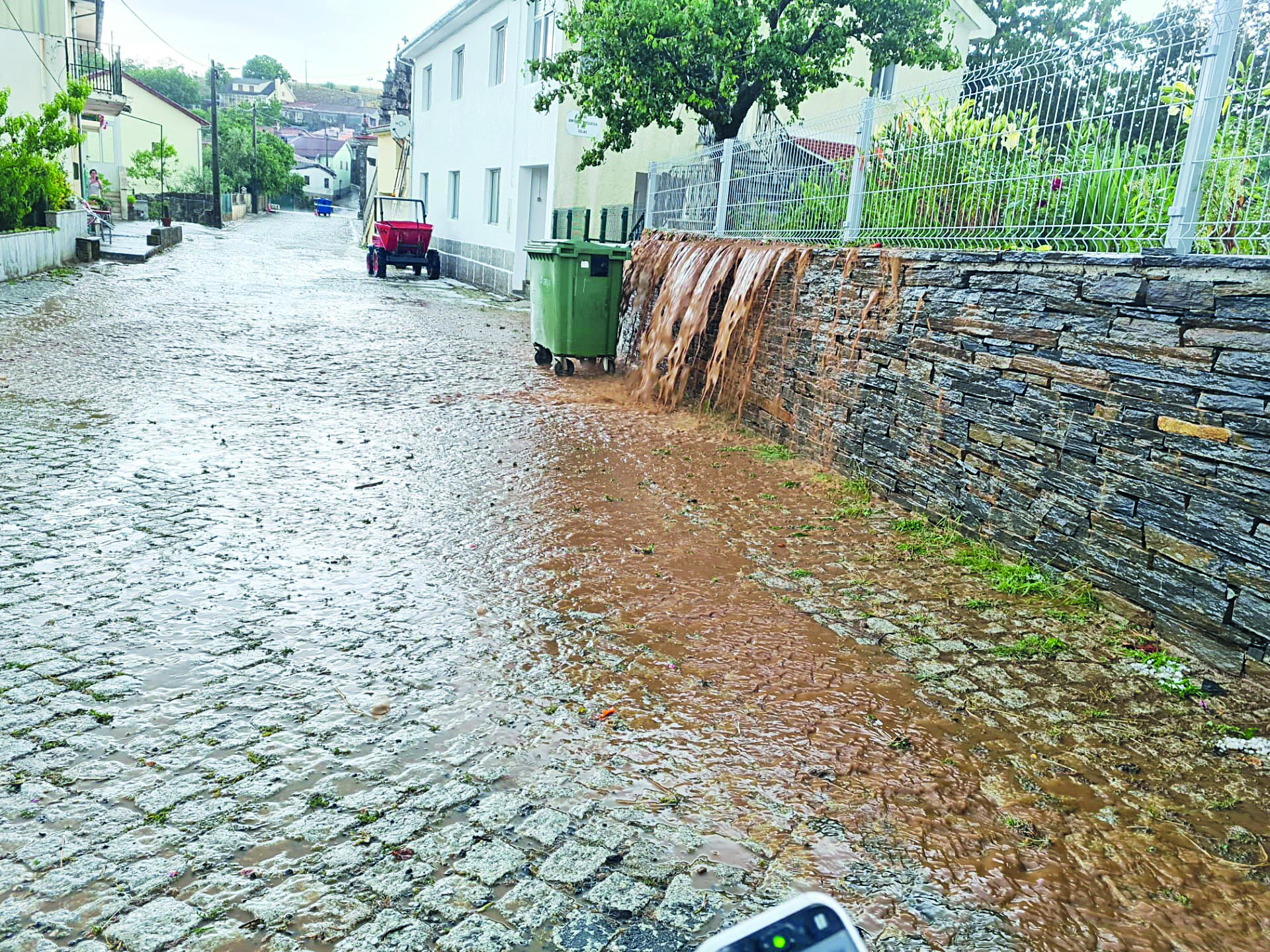 Mau tempo destruiu culturas e inundou armazéns em Celas