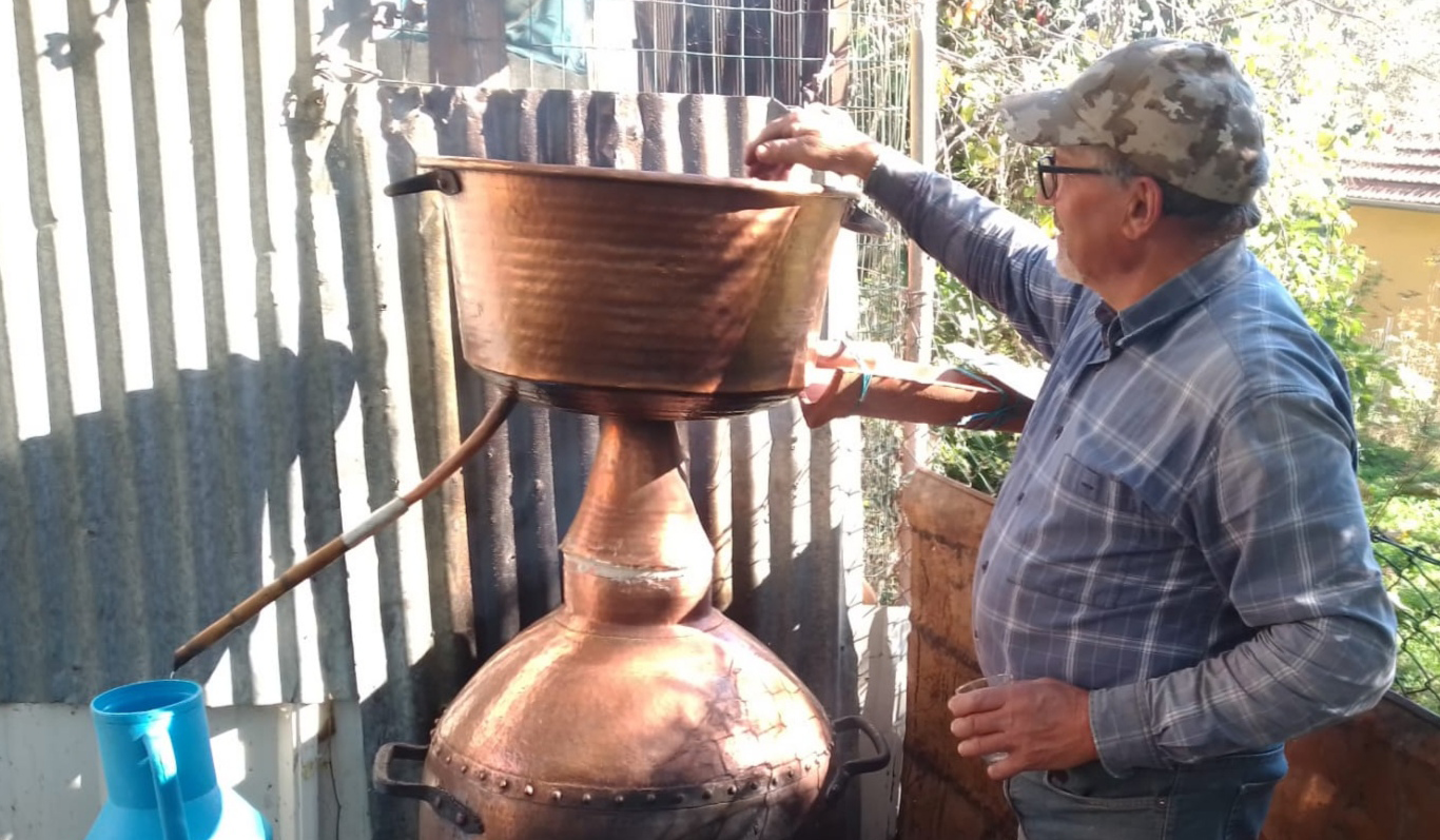 Fazer aguardente ainda é tradição nas nossas terras