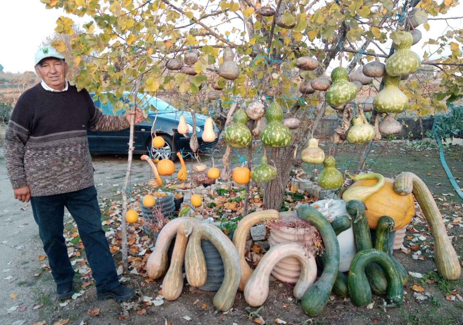 O tio Mário Melo é mais um artista do nosso povo