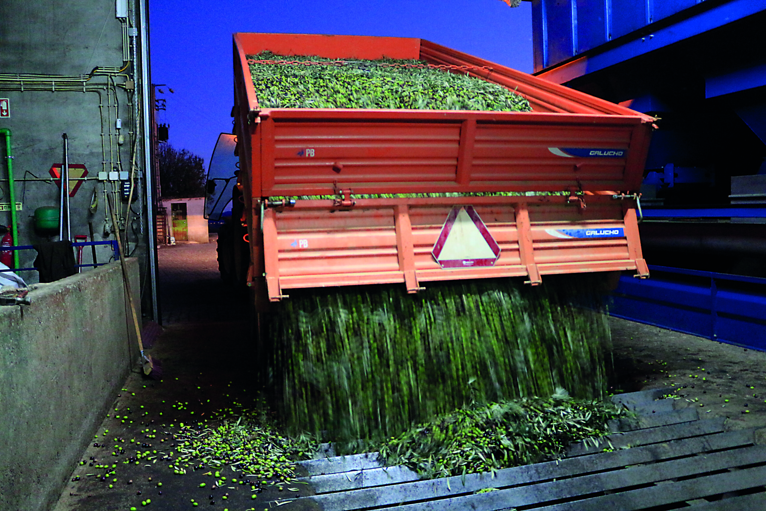 Lagares da região deixaram de receber azeitona por falta de capacidade no armazenamento de bagaço