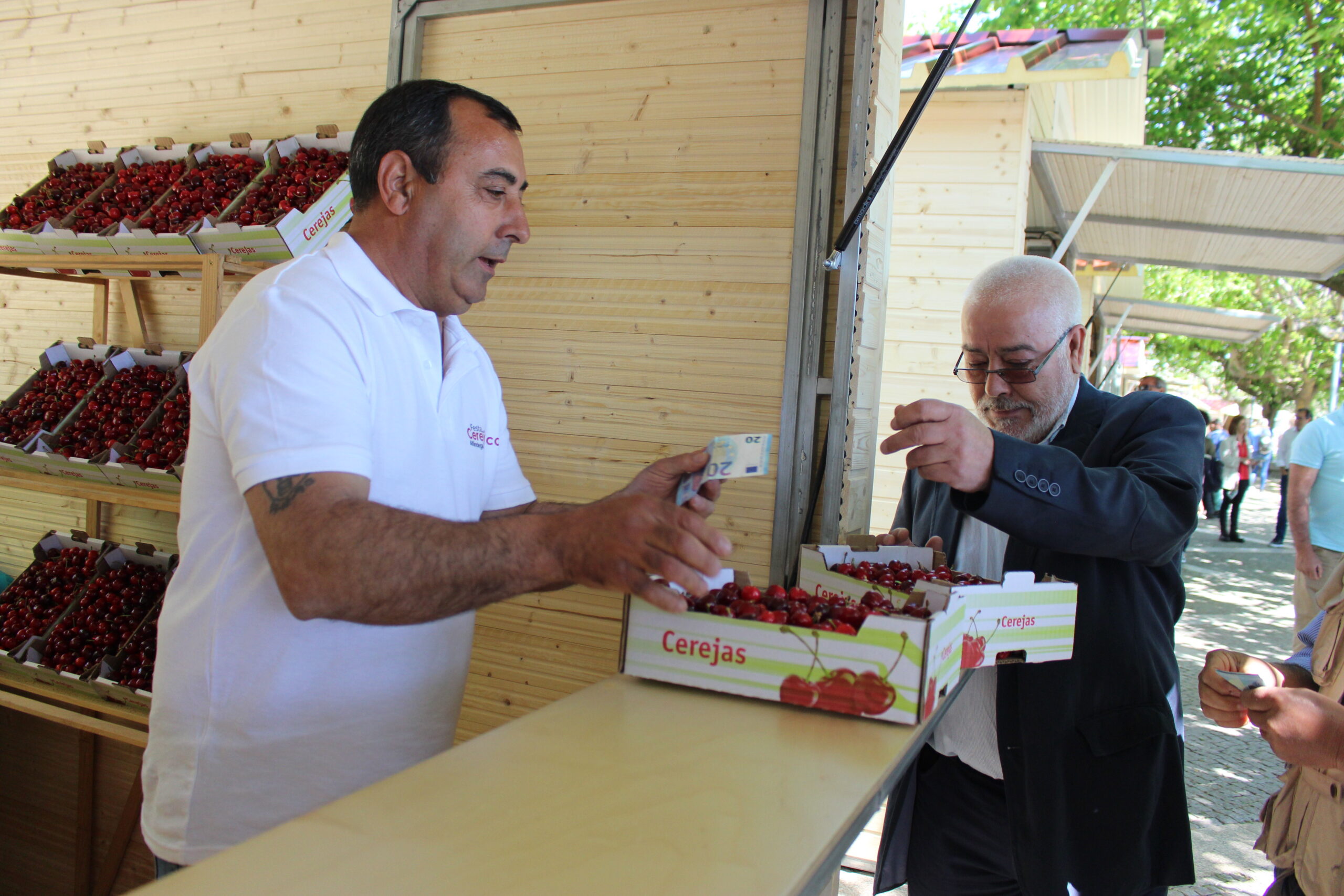 Produção de cereja na região sofre quebras de 30 a 50%