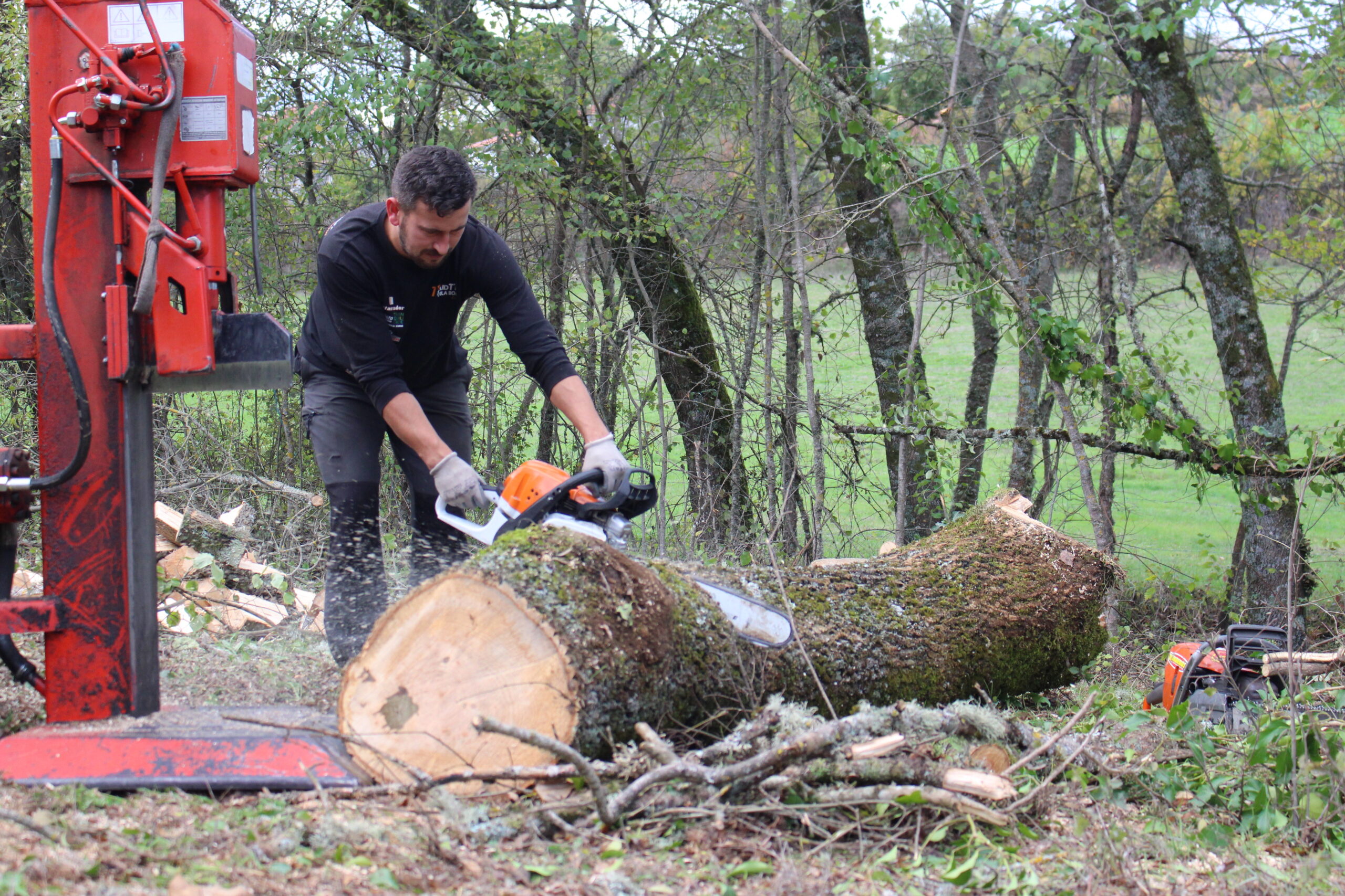 Preços de energia disparam e lenha volta a estar na moda