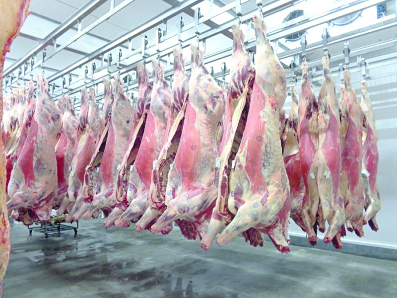 Produtores de gado obrigados a usar matadouro de Vinhais porque o de Bragança tem falta de pessoal