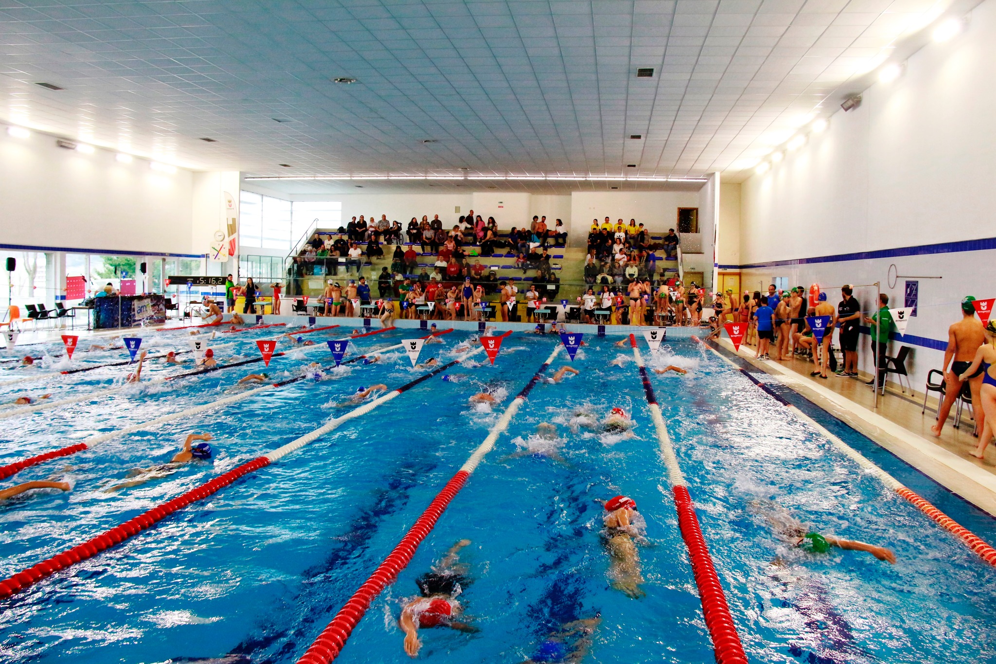 Piscinas Municipais de Bragança com lotação esgotada no Torneio Zonal de Infantis