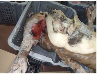 ASAE apreende produtos “impróprios para consumo” e encerra unidade industrial que se queixa de relato “adulterado”