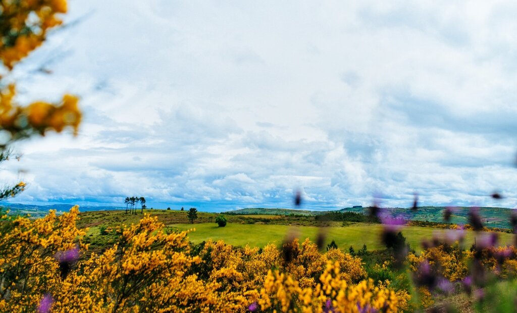 Plano de Co-gestão do Parque Natural de Montesinho em consulta pública