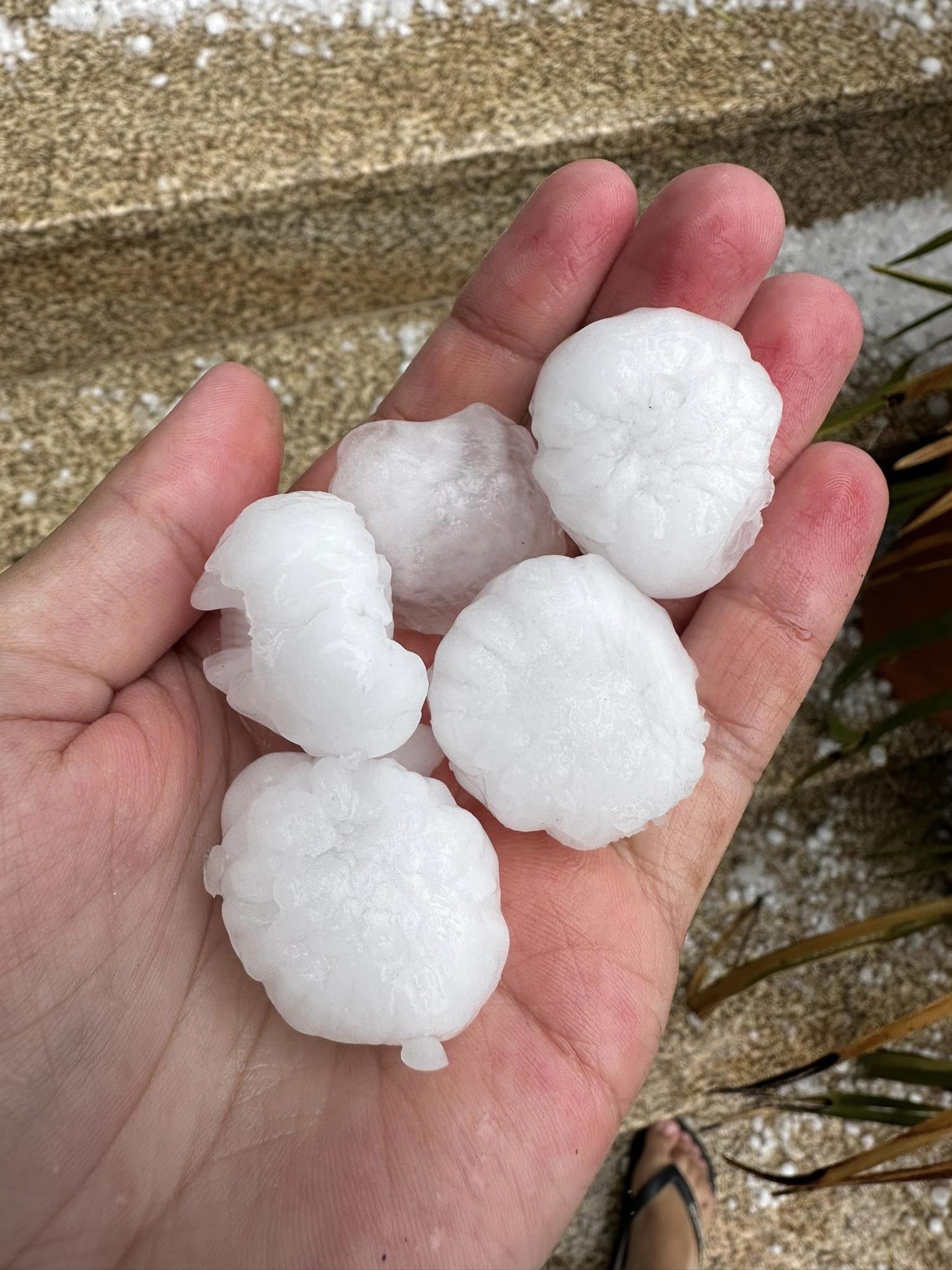 Chuva e granizo destruíram culturas na região