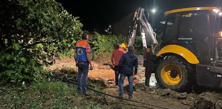 Autarcas reclamam apoio para os agricultores afectados pelo mau tempo de Maio e Junho