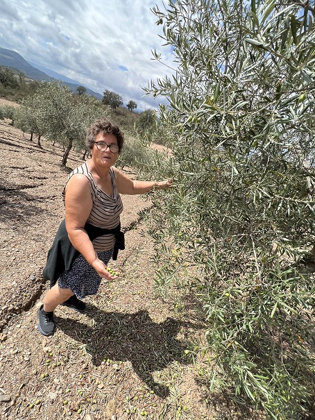 Granizo deixa agricultores com pouco ou nada