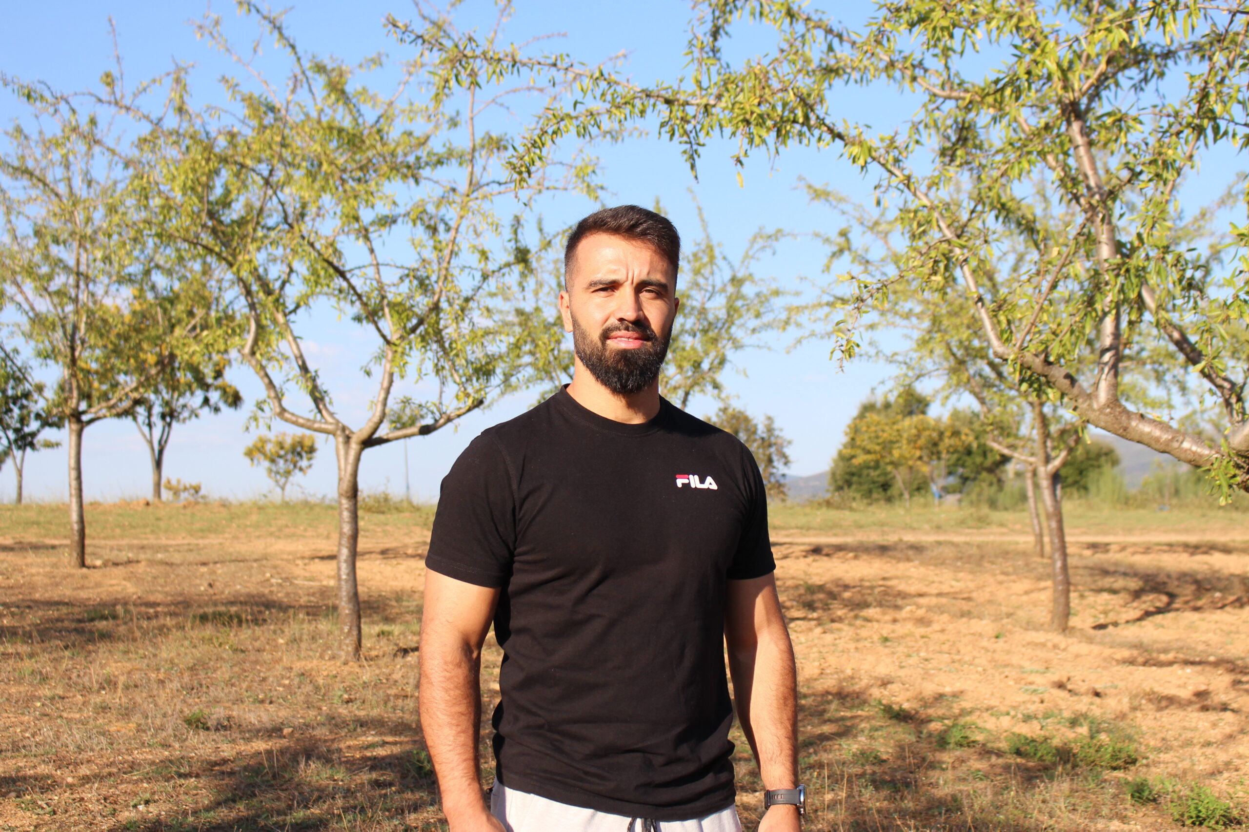 Norma europeia deixa produtores de amêndoa biológica a perder dinheiro