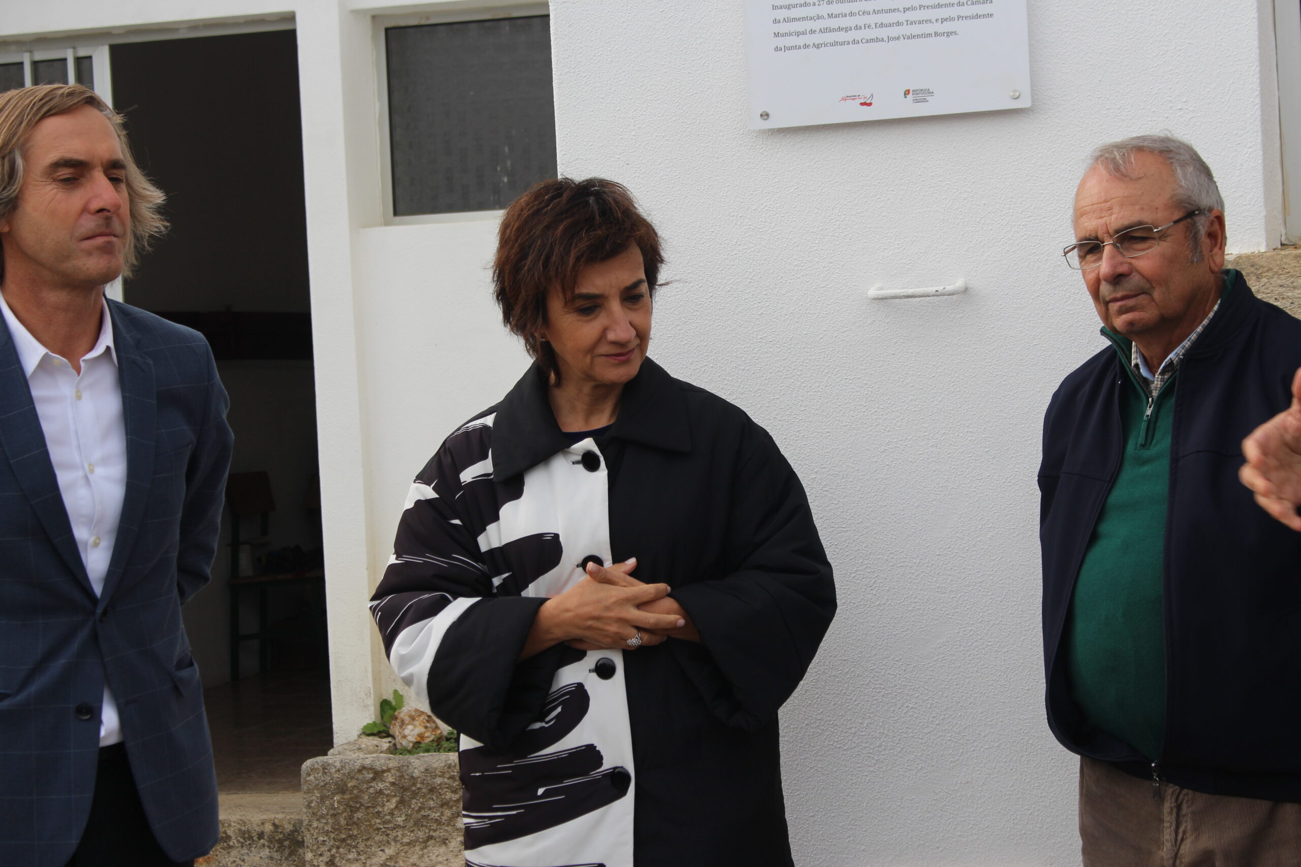 Governo sem apoios para os produtores de castanha afectados pelo fungo