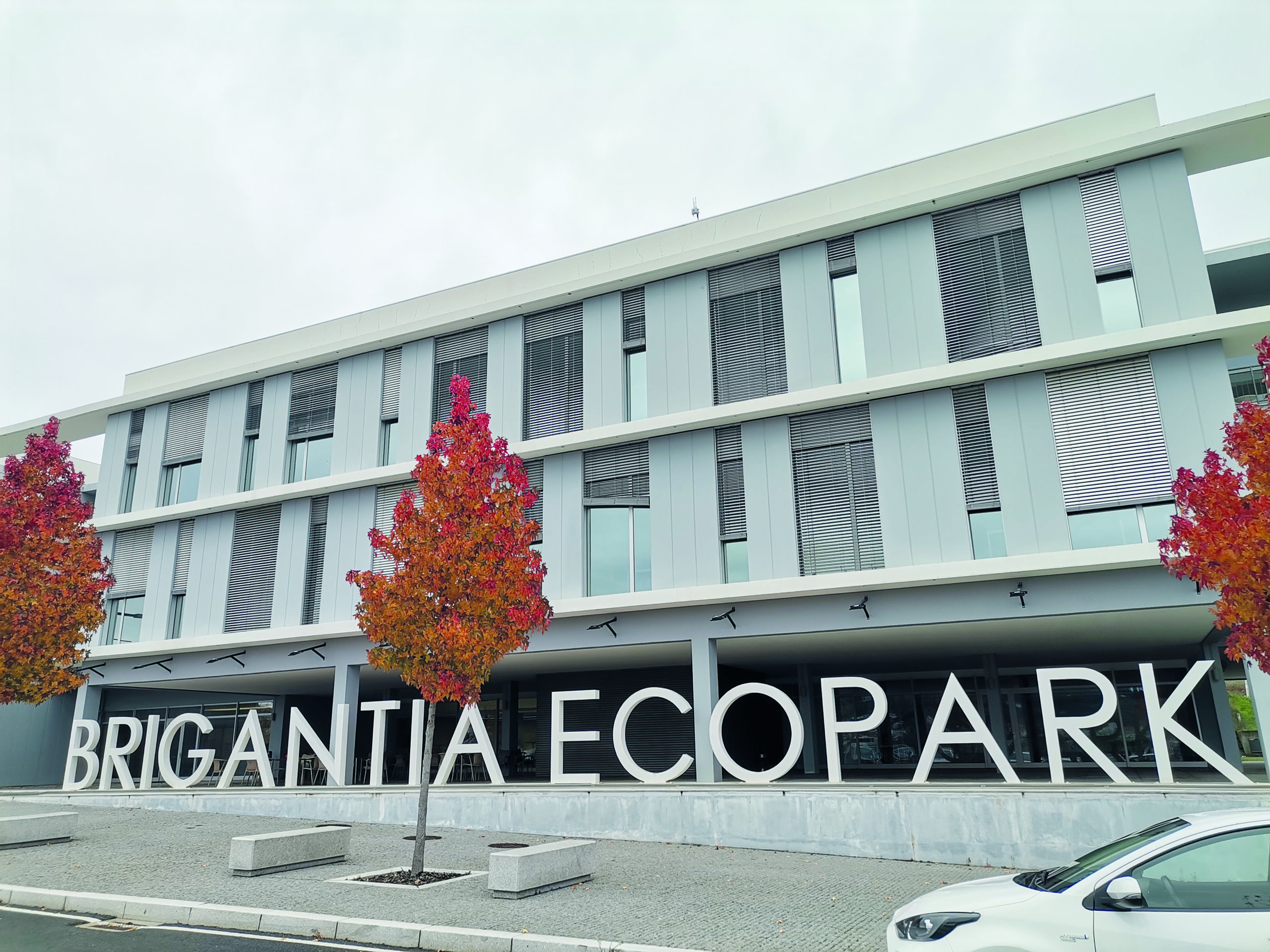 Inovação: a chave “fundamental” para o sucesso das empresas