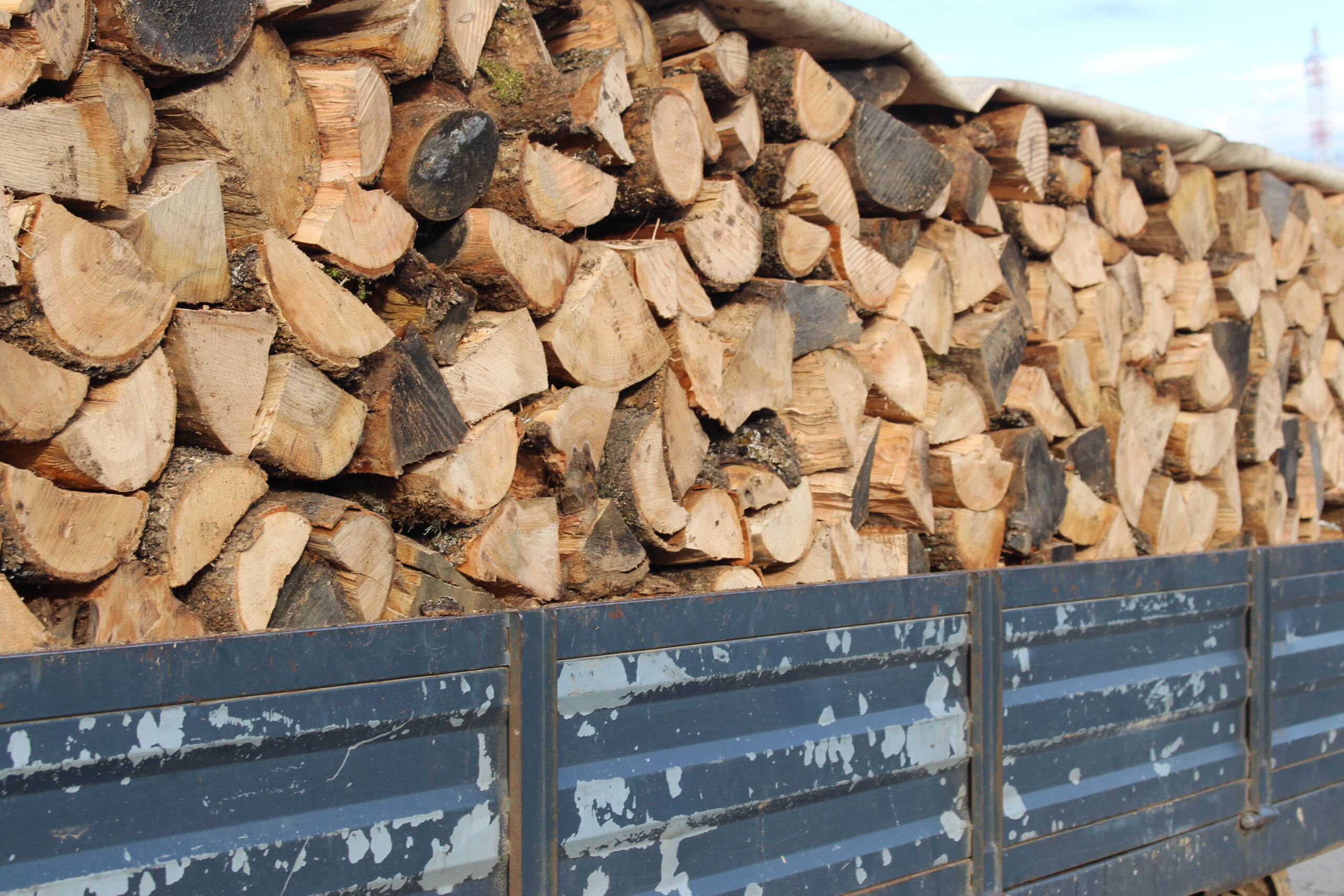 Preço de pellets desce mas lenha continua a ser opção no Inverno