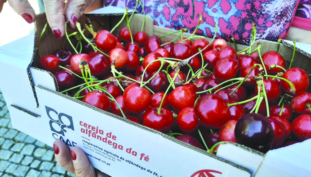 “Cereja de Alfândega da Fé” já é um produto com Indicação Geográfica Protegida