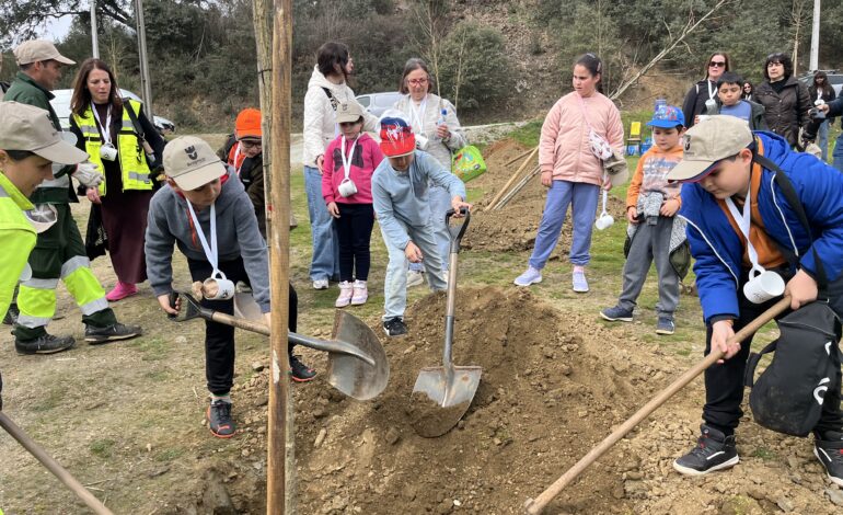 Primavera e dia Mundial da Árvores assinalados em Bragança com plantação de 80 árvores