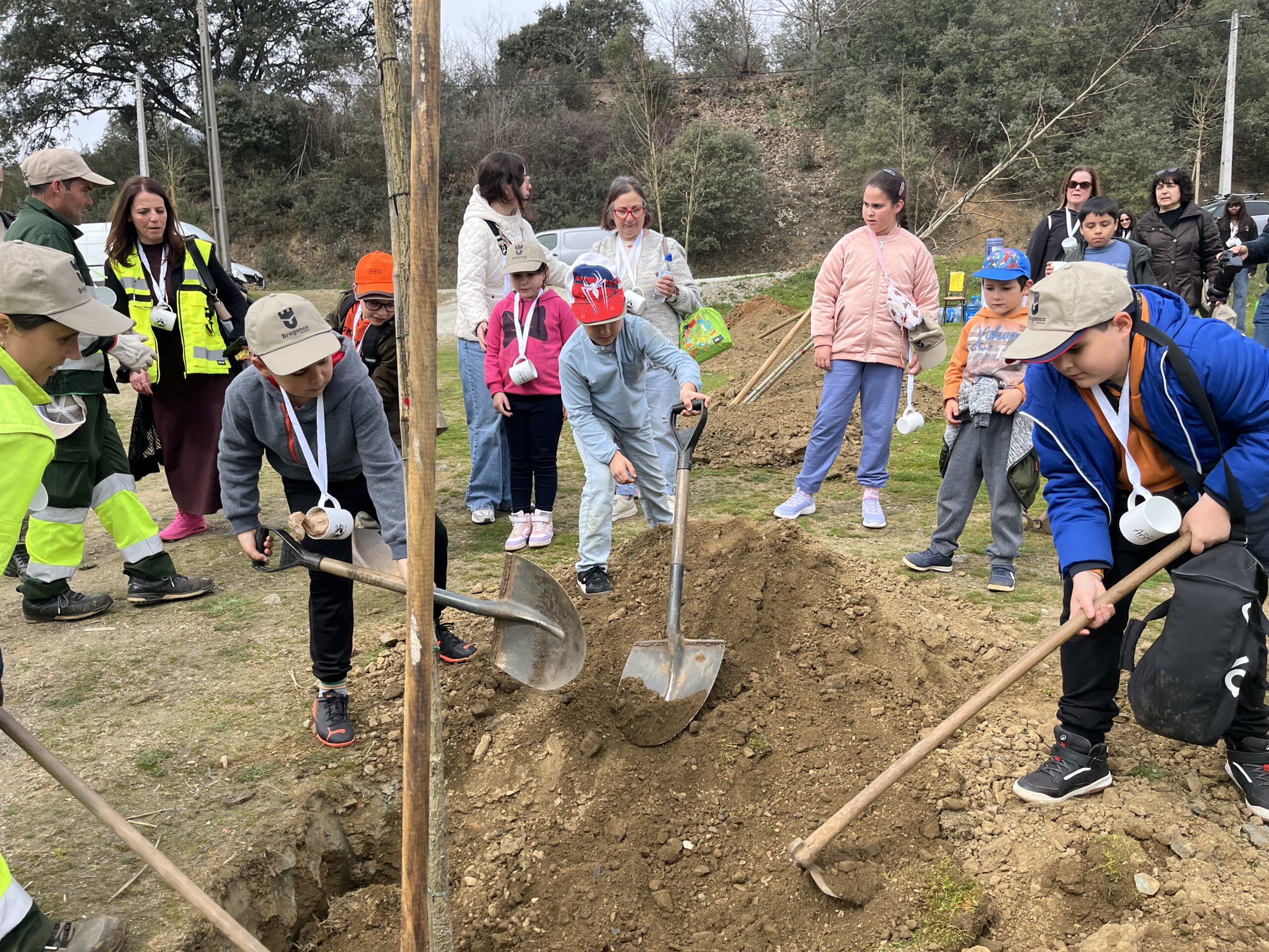 Primavera e dia Mundial da Árvores assinalados em Bragança com plantação de 80 árvores