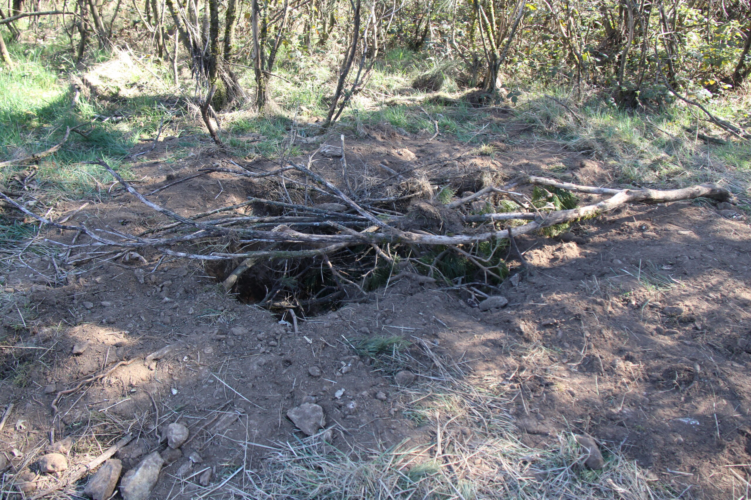 Nordeste esteve no local onde as duas mulheres francesas estavam enterradas