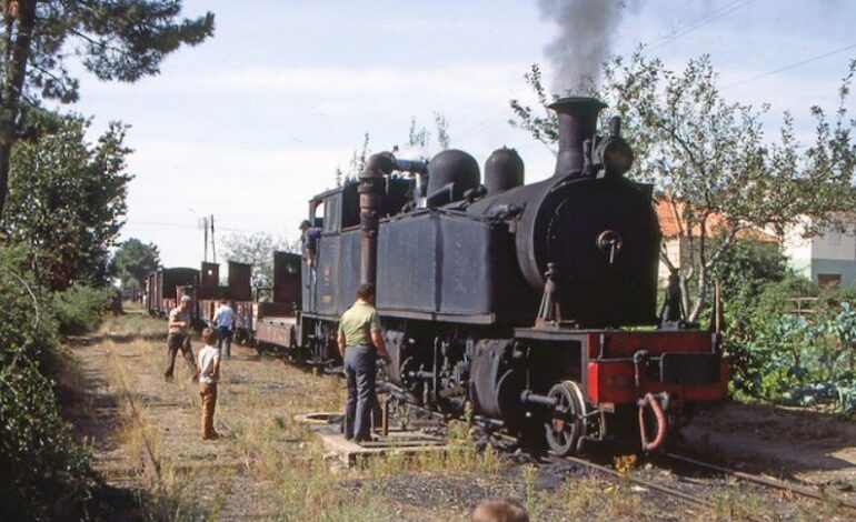 Reativação da Linha do Sabor “não é do domínio da utopia”