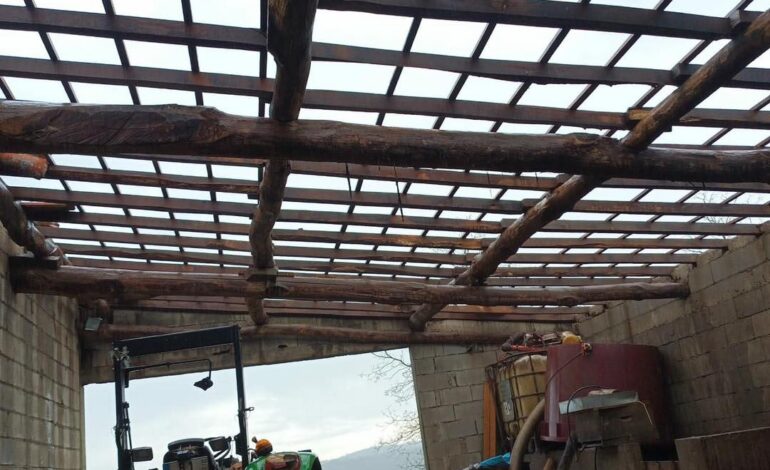 Autarca de Vinhais indignado com possibilidade de não existirem apoios para prejuízos causados pelo mini tornado