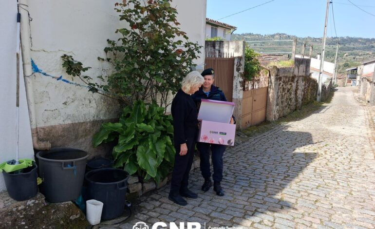 GNR de Bragança distribui 100 cabazes pela população mais vulnerável no distrito
