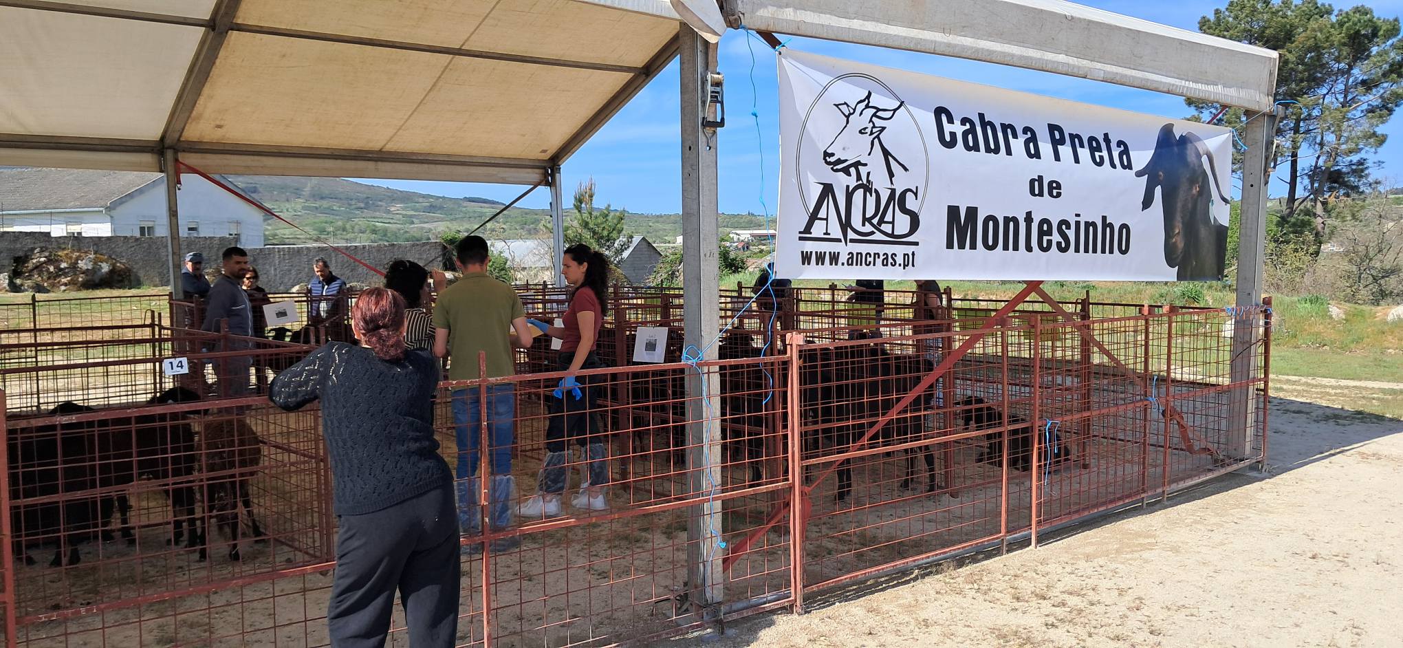 31ª Feira Franca da Moimenta com mais visitantes e expositores