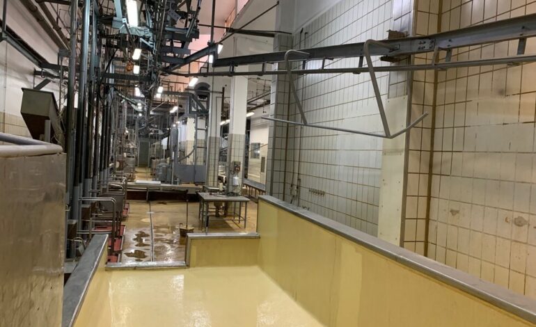 CDU culpa PS e PSD de processo de insolvência do matadouro do Cachão