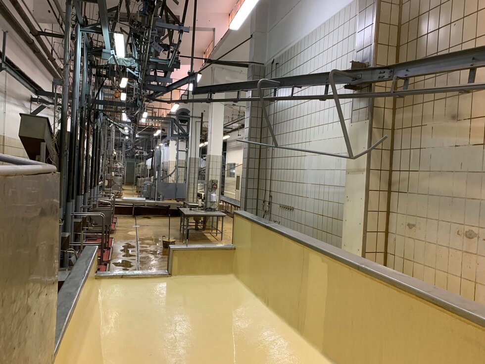 CDU culpa PS e PSD de processo de insolvência do matadouro do Cachão